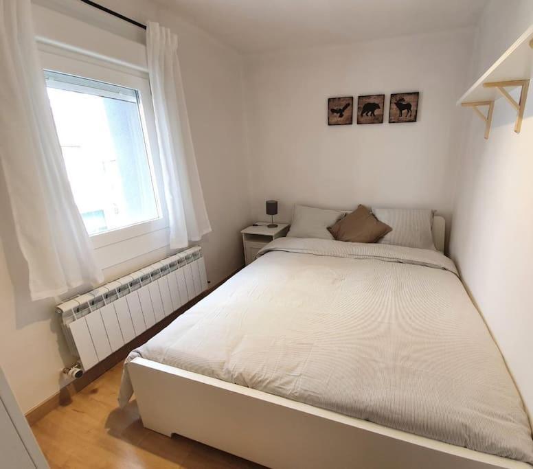 Appartement Acogedor Piso En El Centro De Sabiñánigo Extérieur photo